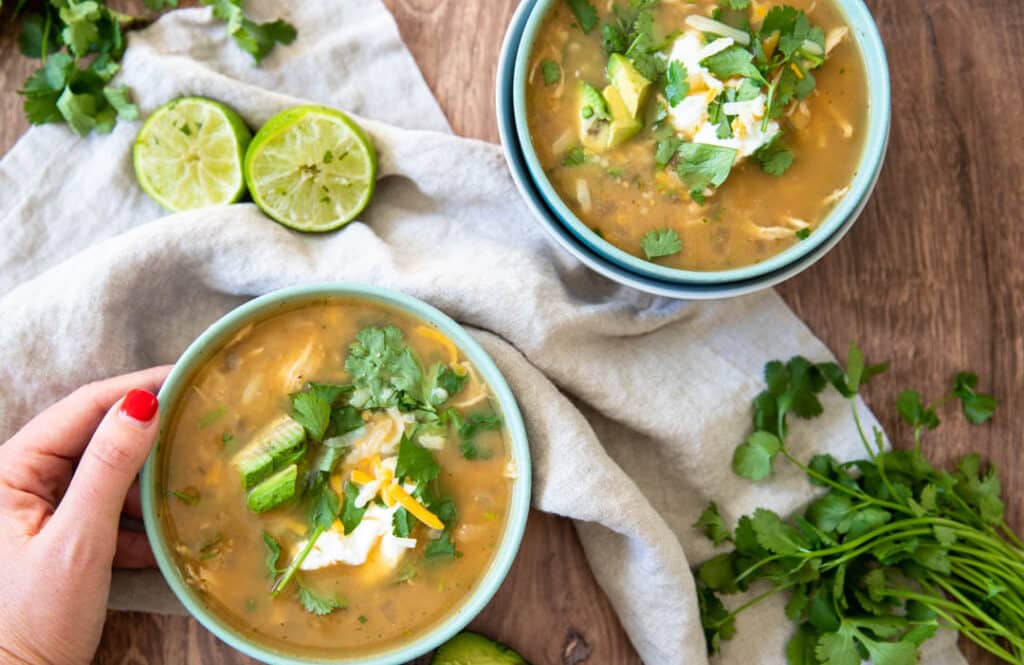 Salsa Verde Chicken Soup Gina Gibson