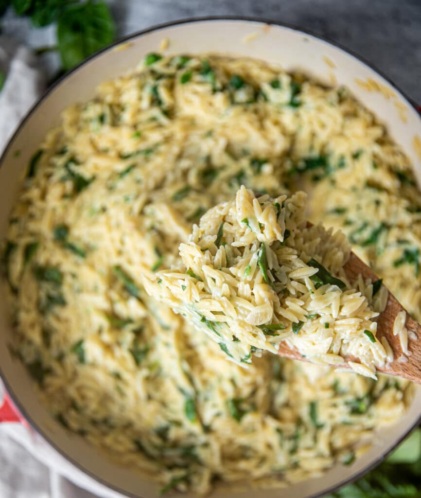 A close up of a spoonful of creamy parmesan orzo with lots of spinach.  